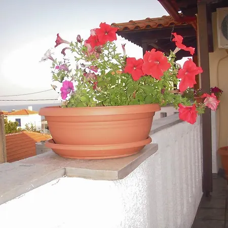 Apartment Ikos And *