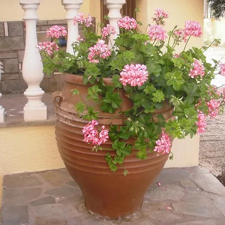 Apartament Ikos And